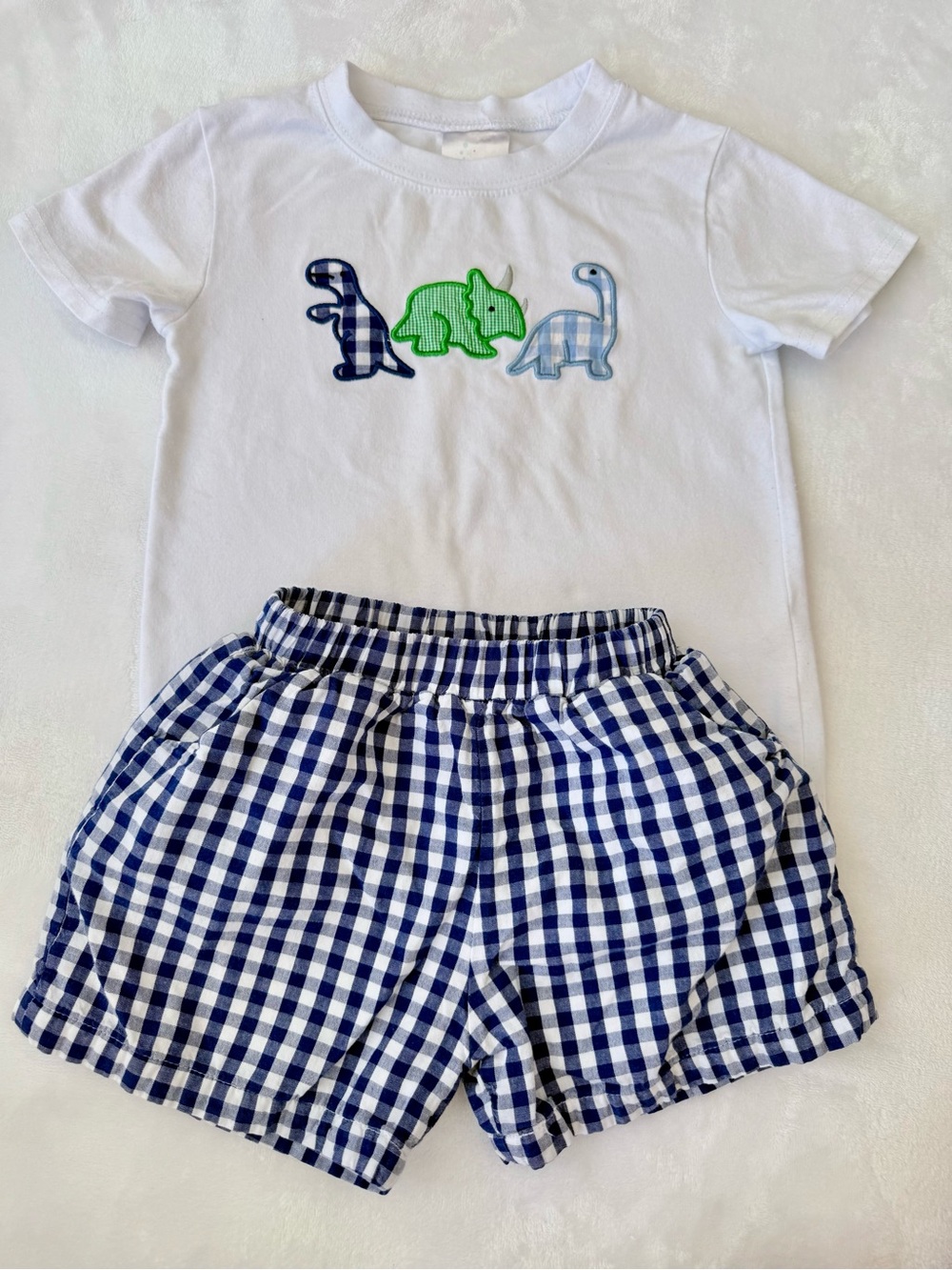 Stitchy Fish Dino Tee & Blue Gingham Short Set (size 2T)